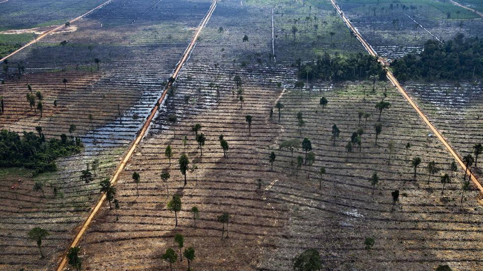 La escalada suicida del CO2