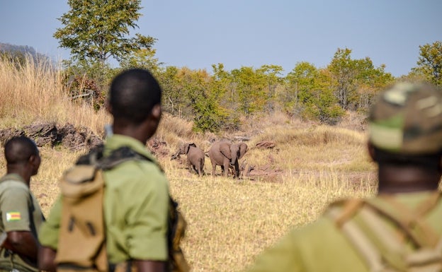 Los animales temen al fin de semana