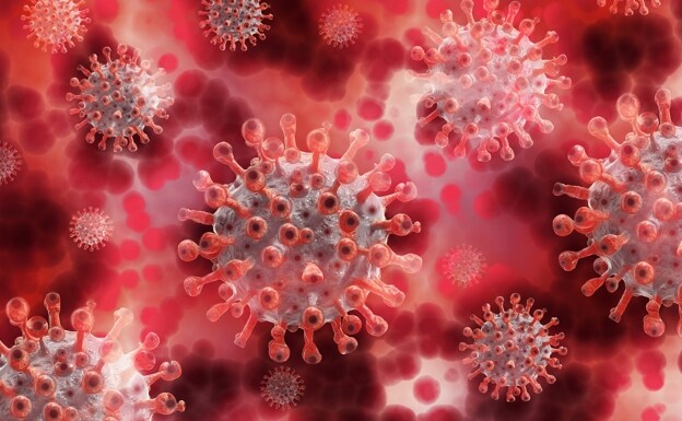¿Qué patógenos podrían desencadenar una futura pandemia según la OMS?