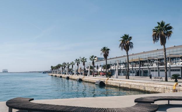 El Ocean Live Park será el centro mundial de la naútica durante una semana