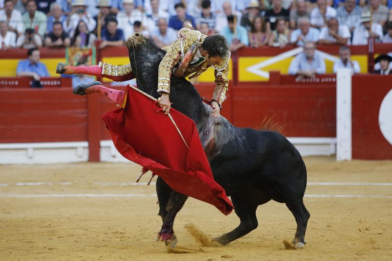 El torero Tomás Rufo, Juan Pedro Domecq y la Escuela Taurina, premios Ciudad de Alicante de la Feria de Hogueras