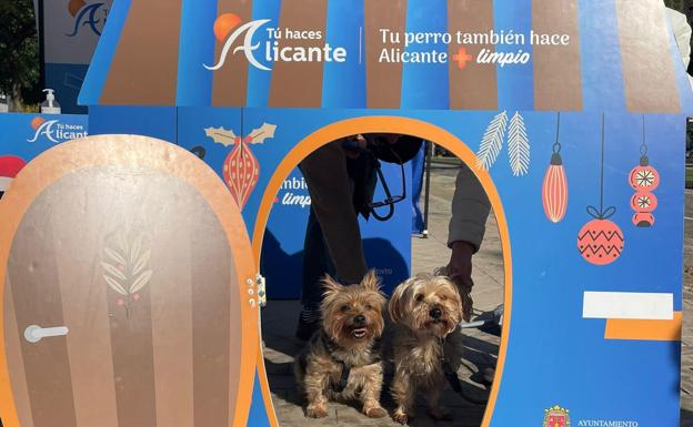 «Tu perro también hace Alicante más limpia» congrega a un millar propietarios de mascotas
