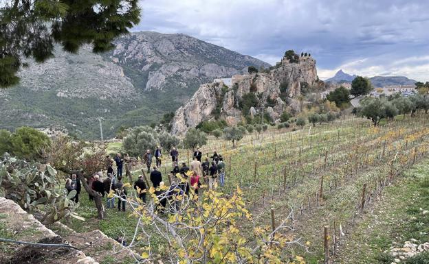 El vino vuelve al valle de Guadalest tras 100 años en el olvido