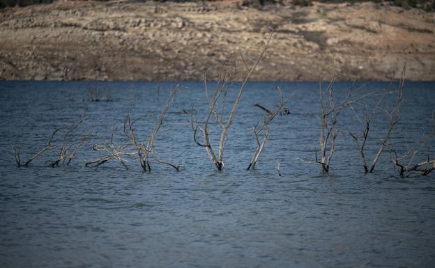 Alicante se prepara ante un futuro con un 40% menos de agua