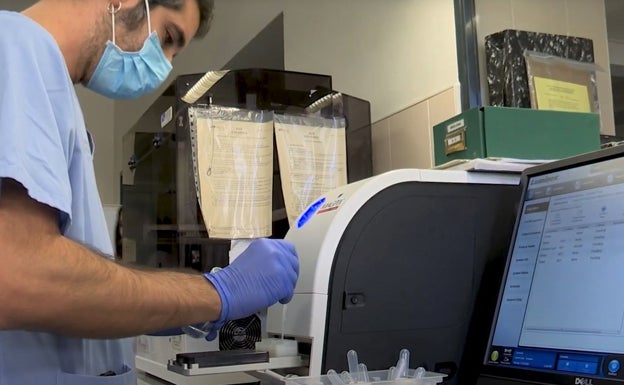 700 muestras de virus se monitorizan semanalmente en la Comunitat para prevenir epidemias