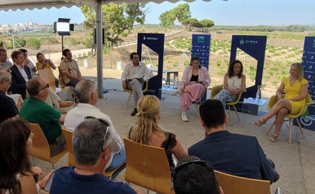 Agamed reparte más de 160.000 euros en ayudas sociales en Torrevieja