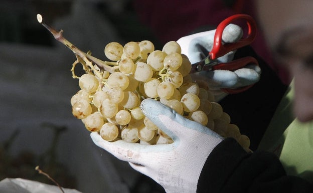 ¿Cómo actuar si nos atragantamos tomando las uvas en Nochevieja?