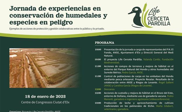 Elche acoge una jornada sobre regeneración de humedales y especies en peligro