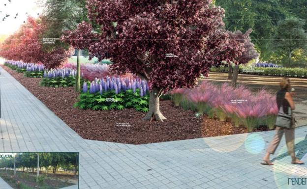 El bulevar de la avenida Alcalde Ramón Pastor será el Amazonas ilicitano