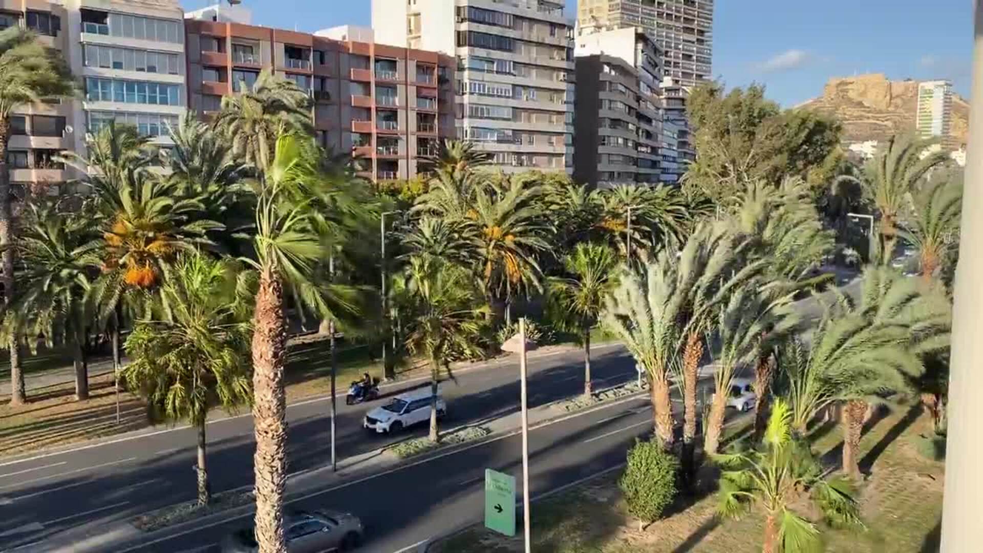 Los mejores tuits del temporal de viento en Alicante