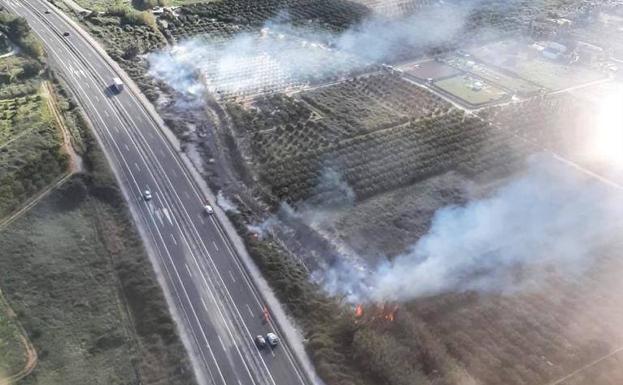Controlado un incendio de vegetación en Pedreguer