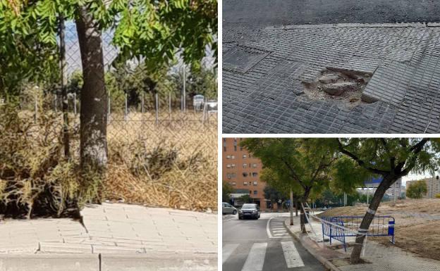 El PSOE denuncia el «intransitable» estado de muchas aceras en Alicante