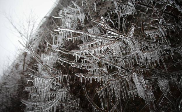 Alerta amarilla por bajas temperaturas y fenómenos costeros