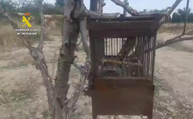 Una alianza para mejorar la seguridad de Busot, El Campello, Mutxamel, Sant Joan y Xixona