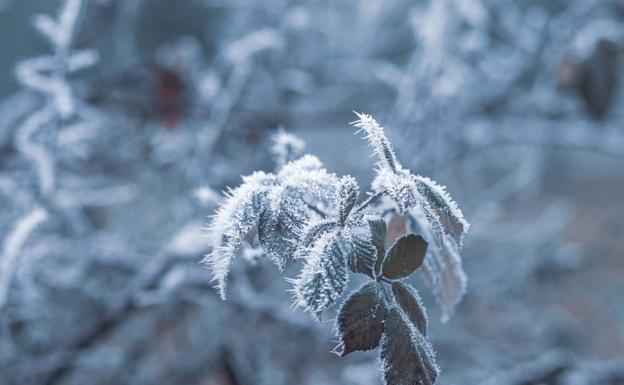 Más frío y heladas en el interior de la provincia