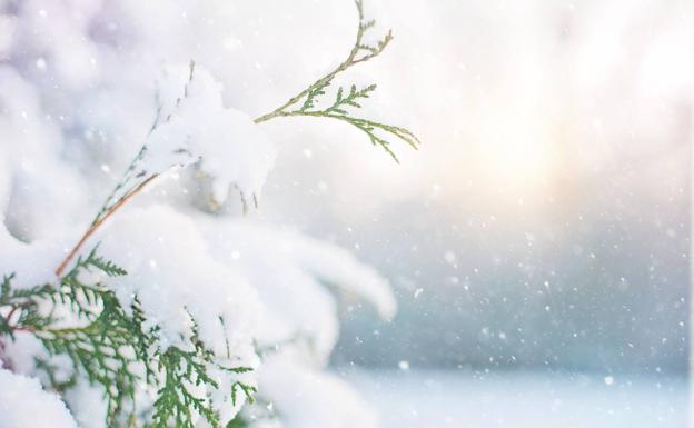 Alerta amarilla por acumulación de nieve en el litoral norte de Alicante