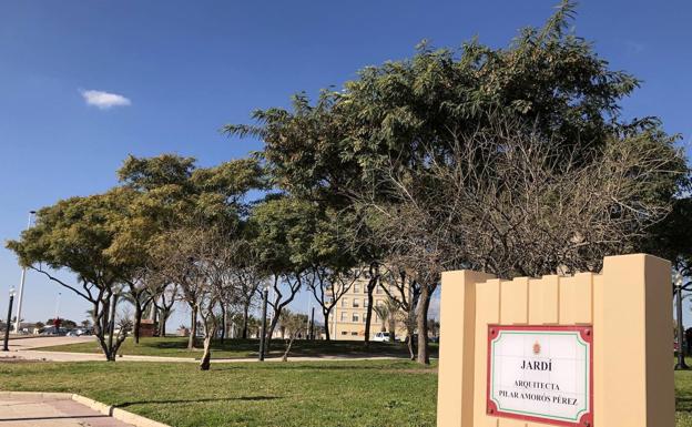 La primera arquitecta de la provincia tiene espacio propio en Elche