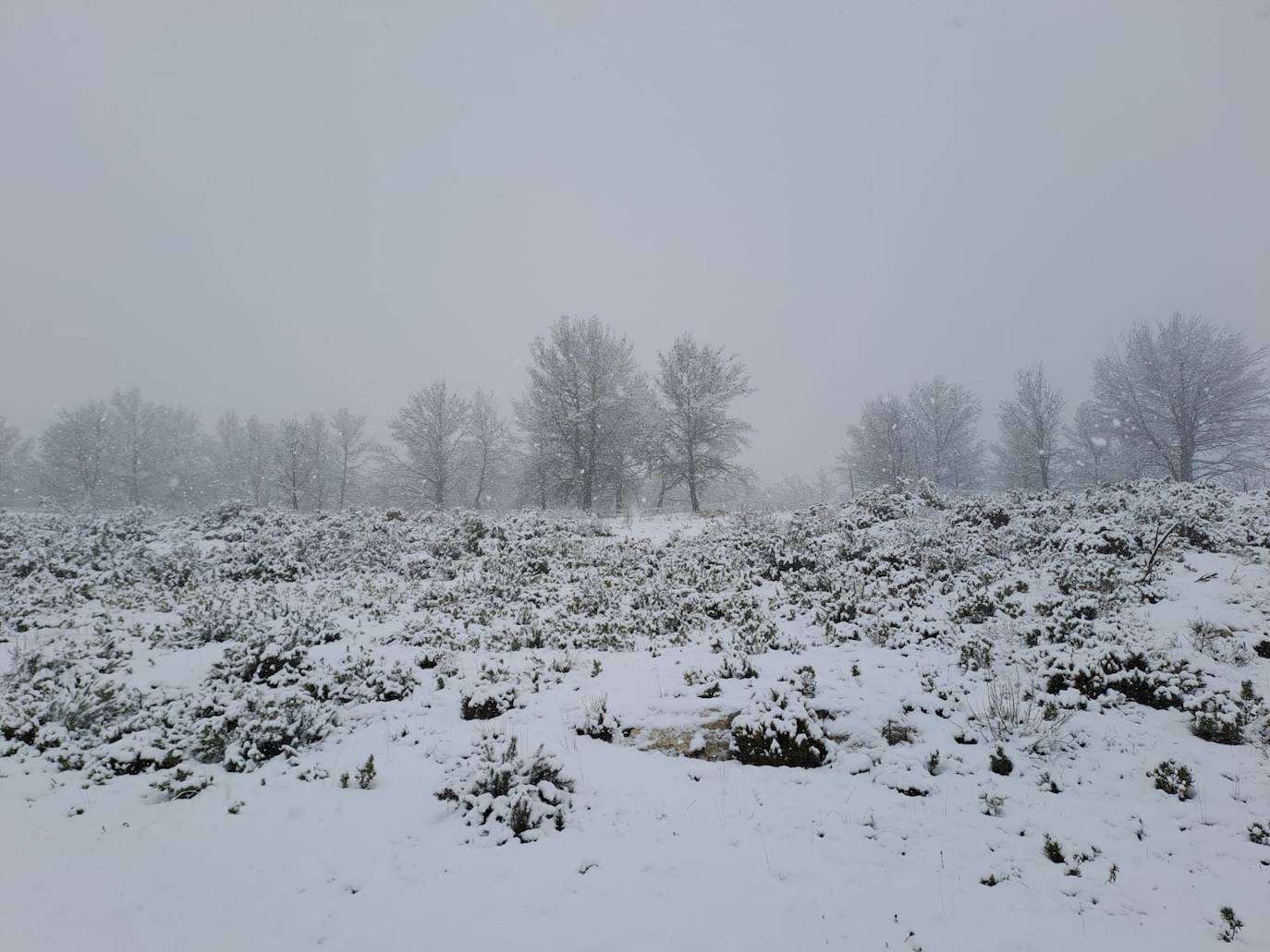 Nevadas y más nevadas en la provincia de Alicante