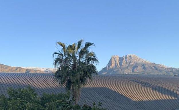 Siguen las heladas en el interior de la provincia