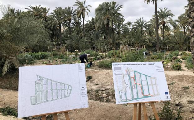 Elche ampliará el huerto urbano de Felip con 250.000 euros de inversión