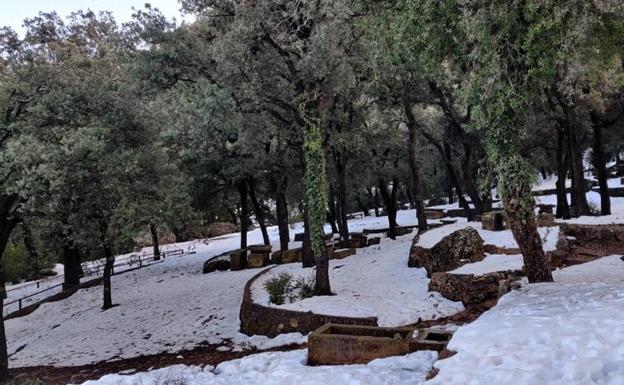 La nive alcanza hasta medio metro de espesor en las cumbres de Alicante