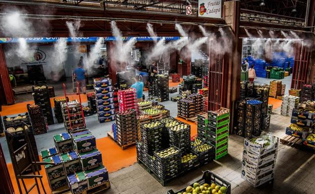 Mercalicante crece un 7% y factura 2,86 millones de euros en 2022