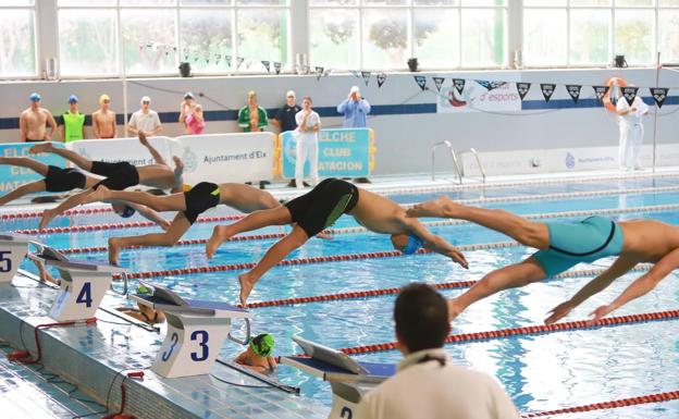 El Ayuntamiento ilicitano recibe la medalla de oro del Club de Natación de Elche