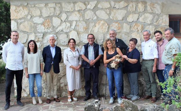 Recuperan el águila pescadora en la Marjal de Pego